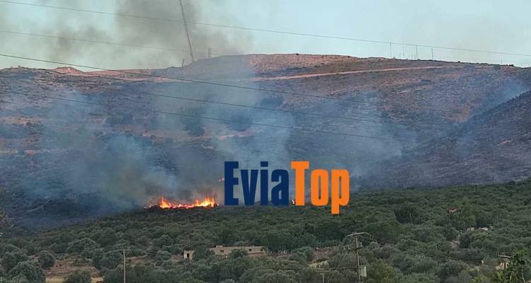 &Kappa;&alpha;&lambda;ύ&tau;&epsilon;&rho;&eta; &epsilon;&iota;&kappa;ό&nu;&alpha; &tau;&eta;&sigmaf; &phi;&omega;&tau;&iota;ά&sigmaf; &sigma;&tau;&eta;&nu; &Epsilon;ύ&beta;&omicron;&iota;&alpha; | &Epsilon;&nu;&iota;&sigma;&chi;ύ&omicron;&nu;&tau;&alpha;&iota; &omicron;&iota; &delta;&upsilon;&nu;ά&mu;&epsilon;&iota;&sigmaf; &tau;&eta;&sigmaf; &Pi;&upsilon;&rho;&omicron;&sigma;&beta;&epsilon;&sigma;&tau;&iota;&kappa;ή&sigmaf;, &sigma;&upsilon;&nu;&epsilon;&lambda;ή&phi;&theta;&eta; 75&chi;&rho;&omicron;&nu;&omicron;&sigmaf;
