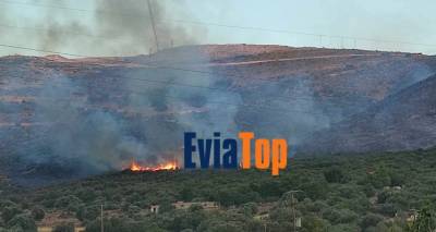 &Kappa;&alpha;&lambda;ύ&tau;&epsilon;&rho;&eta; &epsilon;&iota;&kappa;ό&nu;&alpha; &tau;&eta;&sigmaf; &phi;&omega;&tau;&iota;ά&sigmaf; &sigma;&tau;&eta;&nu; &Epsilon;ύ&beta;&omicron;&iota;&alpha; | &Epsilon;&nu;&iota;&sigma;&chi;ύ&omicron;&nu;&tau;&alpha;&iota; &omicron;&iota; &delta;&upsilon;&nu;ά&mu;&epsilon;&iota;&sigmaf; &tau;&eta;&sigmaf; &Pi;&upsilon;&rho;&omicron;&sigma;&beta;&epsilon;&sigma;&tau;&iota;&kappa;ή&sigmaf;, &sigma;&upsilon;&nu;&epsilon;&lambda;ή&phi;&theta;&eta; 75&chi;&rho;&omicron;&nu;&omicron;&sigmaf;