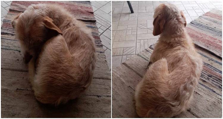 &Mu;ή&pi;&omega;&sigmaf; &tau;&omicron; &psi;ά&chi;&nu;&epsilon;&iota; &kappa;&alpha;&nu;&epsilon;ί&sigmaf;;