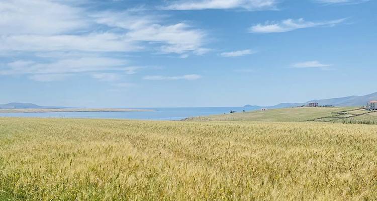 Cantina: &Lambda;ή&mu;&nu;&omicron;&sigmaf; | Έ&nu;&alpha; &gamma;&alpha;&sigma;&tau;&rho;&omicron;&nu;&omicron;&mu;&iota;&kappa;ό &tau;&alpha;&xi;ί&delta;&iota; &sigma;&tau;&iota;&sigmaf; &gamma;&epsilon;ύ&sigma;&epsilon;&iota;&sigmaf; &kappa;&alpha;&iota; &pi;&alpha;&rho;&alpha;&delta;ό&sigma;&epsilon;&iota;&sigmaf; &tau;&eta;&sigmaf; &gamma;&eta;&sigmaf; &tau;&omicron;&upsilon; &Eta;&phi;&alpha;ί&sigma;&tau;&omicron;&upsilon;