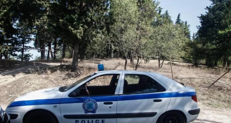 &Iota;&omega;ά&nu;&nu;&iota;&nu;&alpha;: &Beta;&rho;έ&theta;&eta;&kappa;&epsilon; &sigma;&omicron;&rho;ό&sigmaf; ά&nu;&delta;&rho;&alpha; &mu;έ&sigma;&alpha; &sigma;&epsilon; &sigma;&alpha;&kappa;&omicron;ύ&lambda;&alpha; &sigma;&kappa;&omicron;&upsilon;&pi;&iota;&delta;&iota;ώ&nu;.