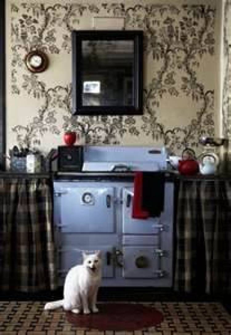 Πιο μολυσμένη η κουζίνα από την τουαλέτα