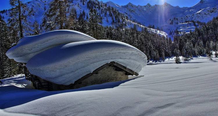 &Sigma;ά&kappa;&eta;&sigmaf; &Alpha;&rho;&nu;&alpha;&omicron;ύ&tau;&omicron;&gamma;&lambda;&omicron;&upsilon;: &Kappa;&alpha;&iota;&rho;&iota;&kappa;ό&sigmaf; &kappa;&iota;&nu;&delta;&upsilon;&nu;&omicron;&lambda;&omicron;&gamma;&iota;&kappa;ό&sigmaf; &omicron;&rho;&gamma;&alpha;&sigma;&mu;ό&sigmaf;