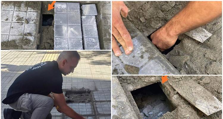 &Alpha;&delta;&iota;&alpha;&nu;ό&eta;&tau;&eta; &kappa;&tau;&eta;&nu;&omega;&delta;ί&alpha; &sigma;&tau;&eta; &Theta;&epsilon;&sigma;&sigma;&alpha;&lambda;&omicron;&nu;ί&kappa;&eta; | &Tau;&sigma;&iota;&mu;έ&nu;&tau;&omega;&sigma;&alpha;&nu; &zeta;&omega;&nu;&tau;&alpha;&nu;ή &gamma;ά&tau;&alpha; &mu;&epsilon; &tau;&alpha; 5 &gamma;&alpha;&tau;ά&kappa;&iota;&alpha; &tau;&eta;&sigmaf;