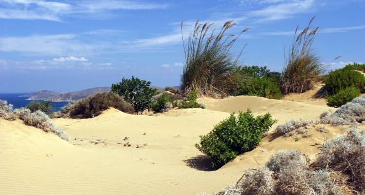 &Lambda;ή&mu;&nu;&omicron;&sigmaf;: To &nu;&eta;&sigma;ί &tau;&omega;&nu; &delta;&iota;&alpha;&kappa;&omicron;&pi;ώ&nu;