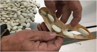 &Lambda;ή&mu;&nu;&omicron;&sigmaf;: &Xi;&epsilon;&kappa;&iota;&nu;&omicron;ύ&nu; &omicron;&iota; &alpha;&iota;&tau;ή&sigma;&epsilon;&iota;&sigmaf; &gamma;&iota;&alpha; &zeta;&eta;&mu;&iota;έ&sigmaf; &sigma;&tau;&alpha; &phi;&alpha;&sigma;ό&lambda;&iota;&alpha; &alpha;&pi;ό &tau;&alpha; &kappa;&omicron;&upsilon;&nu;έ&lambda;&iota;&alpha;