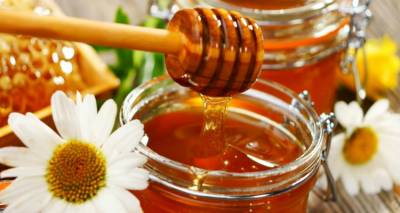 FOOD EXPO 2019: &Tau;&omicron; &mu;έ&lambda;&iota; &tau;&eta;&sigmaf; &Lambda;ή&mu;&nu;&omicron;&upsilon; &sigma;&tau;&eta; &mu;&epsilon;&gamma;&alpha;&lambda;ύ&tau;&epsilon;&rho;&eta; έ&kappa;&theta;&epsilon;&sigma;&eta; &tau;&rho;&omicron;&phi;ί&mu;&omega;&nu; &kappa;&alpha;&iota; &pi;&omicron;&tau;ώ&nu;!