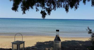 &Pi;ά&mu;&phi;&theta;&eta;&nu;&omicron;, &mu;&epsilon; &phi;&omicron;&beta;&epsilon;&rho;έ&sigmaf; &pi;&alpha;&rho;&alpha;&lambda;ί&epsilon;&sigmaf; &kappa;&alpha;&iota; &alpha;&pi;ί&sigma;&tau;&epsilon;&upsilon;&tau;&omicron; &phi;&alpha;&gamma;&eta;&tau;ό: &Tau;&omicron; &pi;&alpha;&rho;&epsilon;&xi;&eta;&gamma;&eta;&mu;έ&nu;&omicron; &nu;&eta;&sigma;ί &pi;&omicron;&upsilon; &pi;&rho;&omicron;&tau;&epsilon;ί&nu;&epsilon;&iota; &chi;&omega;&rho;ί&sigmaf; &delta;&epsilon;ύ&tau;&epsilon;&rho;&eta; &sigma;&kappa;έ&psi;&eta; &omicron; &Tau;ά&sigma;&omicron;&sigmaf; &Delta;&omicron;ύ&sigma;&eta;&sigmaf;