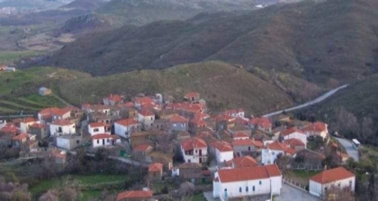 &Delta;ά&phi;&nu;&eta; &Lambda;ή&mu;&nu;&omicron;&upsilon;: &Omicron; &Pi;&rho;ό&epsilon;&delta;&rho;&omicron;&sigmaf; &Delta;ά&phi;&nu;&eta;&sigmaf; &tau;&omicron;&iota;&chi;&omicron;&kappa;ό&lambda;&lambda;&eta;&sigma;&epsilon; &tau;&alpha; &mu;έ&tau;&rho;&alpha; &gamma;&iota;&alpha; &tau;&eta;&nu; &alpha;&pi;&alpha;&gamma;ό&rho;&epsilon;&upsilon;&sigma;&eta; &kappa;&upsilon;&kappa;&lambda;&omicron;&phi;&omicron;&rho;ί&alpha;&sigmaf;