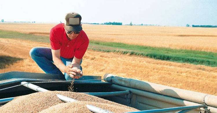 &Pi;&rho;&omicron;&mu;ή&theta;&epsilon;&iota;&alpha; &zeta;&omega;&omicron;&tau;&rho;&omicron;&phi;ώ&nu; &alpha;&pi;ό &tau;&eta;&nu; &laquo;Έ&nu;&omega;&sigma;&eta;&raquo; &Lambda;ή&mu;&nu;&omicron;&upsilon;