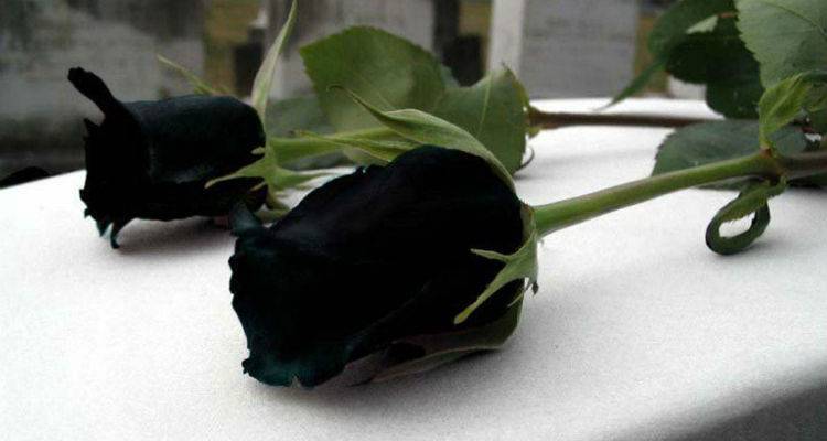 &Tau;&omicron; &Sigma;ά&beta;&beta;&alpha;&tau;&omicron; &tau;&omicron; &tau;&epsilon;&lambda;&epsilon;&upsilon;&tau;&alpha;ί&omicron; &alpha;&nu;&tau;ί&omicron; &sigma;&tau;&eta; &mu;&iota;&kappa;&rho;ή &Mu;&epsilon;&lambda;ί&nu;&alpha;