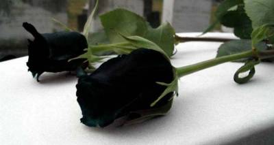 &Tau;&omicron; &Sigma;ά&beta;&beta;&alpha;&tau;&omicron; &tau;&omicron; &tau;&epsilon;&lambda;&epsilon;&upsilon;&tau;&alpha;ί&omicron; &alpha;&nu;&tau;ί&omicron; &sigma;&tau;&eta; &mu;&iota;&kappa;&rho;ή &Mu;&epsilon;&lambda;ί&nu;&alpha;