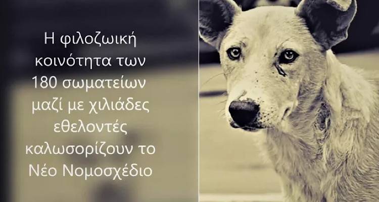Κόντρα των Φιλοζωικών Οργανώσεων με τον Πανελλήνιο Σύλλογο Κτηνιάτρων, με φόντο το νομοσχέδιο για τα ζώα συντροφιάς
