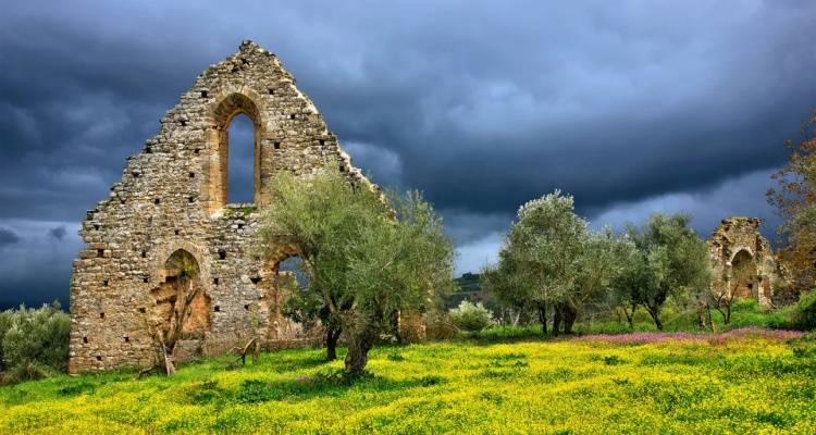 &Eta;&lambda;&epsilon;ί&alpha;: &Mu;&alpha;&zeta;&iota;&kappa;ή &tau;&rho;&omicron;&phi;&iota;&kappa;ή &delta;&eta;&lambda;&eta;&tau;&eta;&rho;ί&alpha;&sigma;&eta; &mu;&epsilon;&tau;ά &alpha;&pi;ό &pi;&alpha;&nu;&eta;&gamma;ύ&rho;&iota; -&Sigma;&tau;&omicron; &kappa;έ&nu;&tau;&rho;&omicron; &upsilon;&gamma;&epsilon;ί&alpha;&sigmaf; 37 ά&tau;&omicron;&mu;&alpha;