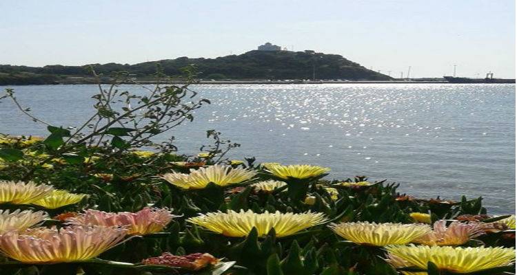 Καιρός: Μέχρι 22 βαθμούς σήμερα στη Λήμνο