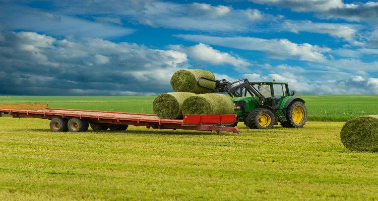 Λήμνος: Έως 15/11 αιτήματα αποπληρωμής Σχεδίων βελτίωσης του 2011