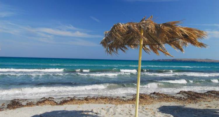 &Tau;&omicron; &laquo;&Beta;&omicron;&rho;&epsilon;&iota;&omicron;&alpha;&nu;&alpha;&tau;&omicron;&lambda;&iota;&kappa;ό &Mu;&epsilon;&lambda;&tau;έ&mu;&iota;&raquo; &alpha;&nu;&omicron;ί&gamma;&epsilon;&iota; &pi;&alpha;&nu;&iota;ά &gamma;&iota;&alpha; &tau;&eta; &Lambda;ή&mu;&nu;&omicron;