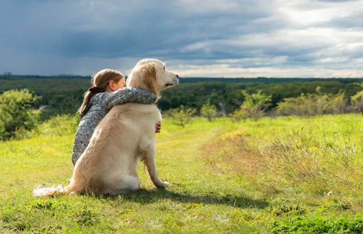 Γιατί οι σκύλοι είναι τόσο πιστοί στους ανθρώπους; Δείτε τι λέει η επιστήμη