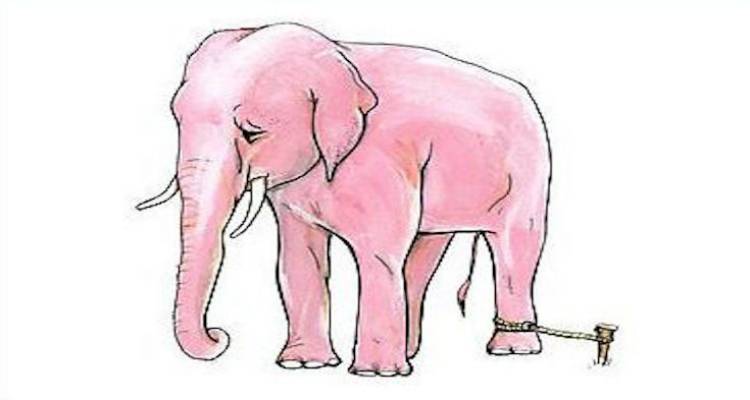 Ξαναδιαβάζοντας τον «Αλυσοδεμένο Ελέφαντα»