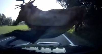 Έ&nu;&alpha; &beta;ή&mu;&alpha; &pi;&rho;&iota;&nu; &tau;&eta;&nu; &tau;&rho;&alpha;&gamma;&omega;&delta;ί&alpha; &sigma;&tau;&omicron;&nu; &delta;&rho;ό&mu;&omicron; &Epsilon;&beta;&gamma;ά&tau;&eta; - &Theta;ά&nu;&omicron;&sigmaf; | &Pi;&alpha;&rho;&alpha;&lambda;ί&gamma;&omicron; &sigma;ύ&gamma;&kappa;&rho;&omicron;&upsilon;&sigma;&eta; &delta;ύ&omicron; &omicron;&chi;&eta;&mu;ά&tau;&omega;&nu; &lambda;ό&gamma;&omega; &epsilon;&lambda;&alpha;&phi;&iota;ώ&nu;