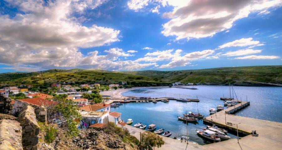 &laquo;&Sigma;&omicron;&upsilon; &gamma;&rho;ά&phi;&omega; &alpha;&pi;ό &tau;&omicron;&nu; Ά&eta; &Sigma;&tau;&rho;ά&tau;&eta;&raquo;: Έ&nu;&alpha; &omicron;&delta;&omicron;&iota;&pi;&omicron;&rho;&iota;&kappa;ό &mu;&nu;ή&mu;&eta;&sigmaf; &kappa;&alpha;&iota; &eta;&rho;&epsilon;&mu;ί&alpha;&sigmaf; &sigma;&tau;&omicron; &alpha;&kappa;&rho;&iota;&tau;&iota;&kappa;ό &nu;&eta;&sigma;ί