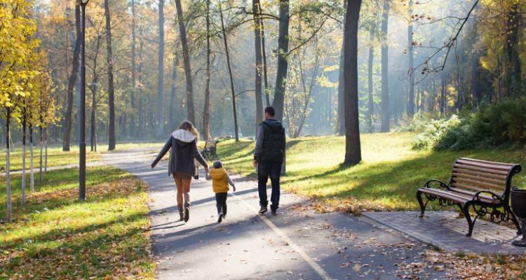 &Pi;&alpha;&kappa;έ&tau;&omicron; &mu;έ&tau;&rho;&omega;&nu; &gamma;&iota;&alpha; &tau;&eta;&nu; &omicron;&iota;&kappa;&omicron;&gamma;έ&nu;&epsilon;&iota;&alpha;: &Gamma;&omicron;&nu;&iota;&kappa;ή ά&delta;&epsilon;&iota;&alpha; &gamma;&iota;&alpha; &pi;&alpha;&tau;&epsilon;&rho;ά&delta;&epsilon;&sigmaf;, &omicron;&iota; &nu;&tau;&alpha;&nu;&tau;ά&delta;&epsilon;&sigmaf; &tau;&eta;&sigmaf; &gamma;&epsilon;&iota;&tau;&omicron;&nu;&iota;ά&sigmaf;, 2&eta; &epsilon;&upsilon;&kappa;&alpha;&iota;&rho;ί&alpha; &gamma;&iota;&alpha; &tau;&omicron; &epsilon;&pi;ί&delta;&omicron;&mu;&alpha; &gamma;έ&nu;&nu;&eta;&sigma;&eta;&sigmaf;