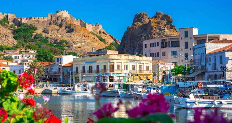 &Rho;ύ&theta;&mu;&iota;&sigma;&eta; &omicron;&phi;&epsilon;&iota;&lambda;ώ&nu; &sigma;&tau;&omicron;&nu; &Delta;ή&mu;&omicron; &Lambda;ή&mu;&nu;&omicron;&upsilon; | &Alpha;&iota;&tau;ή&sigma;&epsilon;&iota;&sigmaf; έ&omega;&sigmaf; 14 &Mu;&alpha;&rho;&tau;ί&omicron;&upsilon;