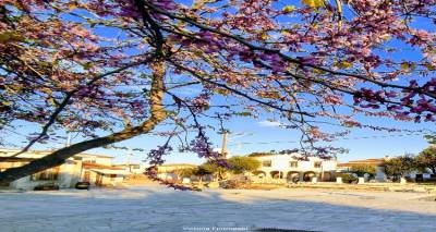 &Lambda;ή&mu;&nu;&omicron;&sigmaf;: &Lambda;&alpha;ϊ&kappa;ή &beta;&rho;&alpha;&delta;&iota;ά &sigma;&tau;&alpha; &Tau;&sigma;&iota;&mu;ά&nu;&delta;&rho;&iota;&alpha; &tau;&eta; &Delta;&epsilon;&upsilon;&tau;έ&rho;&alpha; 21 &Alpha;&upsilon;&gamma;&omicron;ύ&sigma;&tau;&omicron;&upsilon;