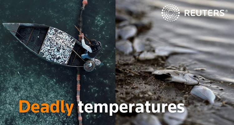 Μια ελληνική φωτογραφία στις κορυφαίες της χρονιάς για το Reuters