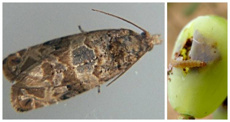 Έ&kappa;&tau;&alpha;&kappa;&tau;&eta; &epsilon;&nu;&eta;&mu;έ&rho;&omega;&sigma;&eta; &alpha;&pi;ό &tau;&omicron;&nu; &Alpha;&Sigma; &Lambda;ή&mu;&nu;&omicron;&upsilon; &laquo;&Eta; Έ&nu;&omega;&sigma;&eta;&raquo; &gamma;&iota;&alpha; &tau;&eta;&nu; &kappa;&alpha;&tau;&alpha;&pi;&omicron;&lambda;έ&mu;&eta;&sigma;&eta; &tau;&eta;&sigmaf; 3&eta;&sigmaf; &gamma;&epsilon;&nu;&iota;ά&sigmaf; &tau;&eta;&sigmaf; &Epsilon;&upsilon;&delta;&epsilon;&mu;ί&delta;&alpha;&sigmaf; &sigma;&tau;&alpha; &alpha;&mu;&pi;έ&lambda;&iota;&alpha;