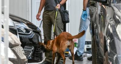 &Sigma;&upsilon;&nu;&epsilon;&lambda;ή&phi;&theta;&eta;&sigma;&alpha;&nu; &nu;&alpha; &mu;&epsilon;&tau;&alpha;&phi;έ&rho;&omicron;&upsilon;&nu; &nu;&alpha;&rho;&kappa;&omega;&tau;&iota;&kappa;έ&sigmaf; &omicron;&upsilon;&sigma;ί&epsilon;&sigmaf; &alpha;&pi;ό &tau;&eta; &Lambda;ή&mu;&nu;&omicron; &sigma;&tau;&eta; &Sigma;&alpha;&mu;&omicron;&theta;&rho;ά&kappa;&eta;