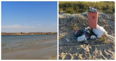 &Pi;&alpha;&rho;&alpha;&lambda;ί&alpha; &Kappa;ό&tau;&sigma;&iota;&nu;&alpha;: Έ&nu;&alpha;&sigmaf; &kappa;ά&delta;&omicron;&sigmaf;, &pi;έ&nu;&tau;&epsilon; &omicron;&mu;&pi;&rho;έ&lambda;&epsilon;&sigmaf; &kappa;&alpha;&iota; &kappa;&iota;ό&sigma;&kappa;&iota;&alpha; &chi;&omega;&rho;ί&sigmaf; &kappa;ά&lambda;&upsilon;&mu;&mu;&alpha;