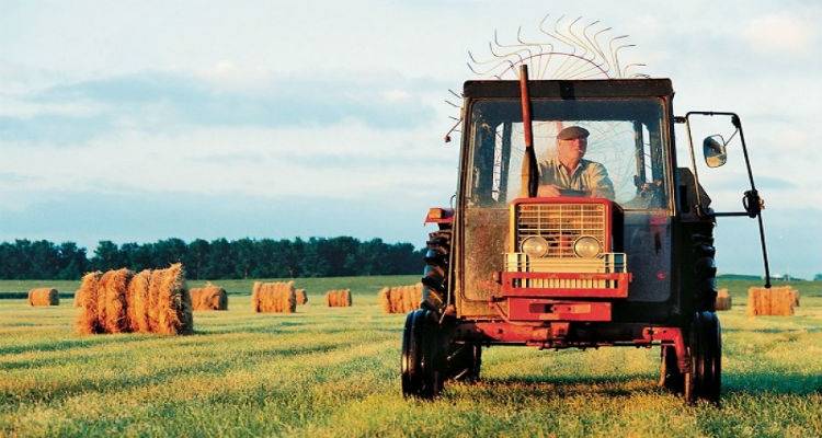 &Pi;&lambda;&eta;&rho;ώ&theta;&eta;&kappa;&alpha;&nu; &kappa;&alpha;&iota; &sigma;&tau;&eta; &Lambda;ή&mu;&nu;&omicron; &upsilon;&pi;ό&lambda;&omicron;&iota;&pi;&alpha; &alpha;&pi;ό &pi;&rho;&iota;&mu; &tau;&omicron;&upsilon; 2012