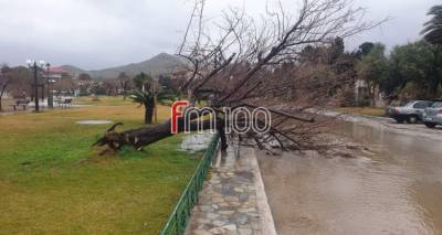 &Delta;ή&mu;&omicron;&sigmaf; &Lambda;ή&mu;&nu;&omicron;&upsilon;: &laquo;Ά&mu;&epsilon;&sigma;&epsilon;&sigmaf; &epsilon;&nu;έ&rho;&gamma;&epsilon;&iota;&epsilon;&sigmaf; &gamma;&iota;&alpha; &tau;&eta;&nu; &alpha;&nu;&tau;&iota;&mu;&epsilon;&tau;ώ&pi;&iota;&sigma;&eta; &tau;&omega;&nu; &sigma;&upsilon;&nu;&epsilon;&pi;&epsilon;&iota;ώ&nu; &tau;&eta;&sigmaf; &theta;&epsilon;&omicron;&mu;&eta;&nu;ί&alpha;&sigmaf;&raquo;