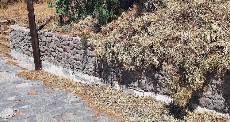 &Lambda;ή&mu;&nu;&omicron;&sigmaf; - &Kappa;&alpha;&tau;&alpha;&gamma;&gamma;&epsilon;&lambda;ί&alpha; &alpha;&nu;&alpha;&gamma;&nu;ώ&sigma;&tau;&eta;: &laquo;&Kappa;&lambda;ά&delta;&epsilon;&psi;&alpha;&nu; &tau;&alpha; &delta;έ&nu;&tau;&rho;&alpha; &kappa;&alpha;&iota; &tau;&alpha; &kappa;&lambda;&alpha;&delta;&iota;ά &pi;&alpha;&rho;&alpha;&mu;έ&nu;&omicron;&upsilon;&nu; &sigma;&tau;&omicron; &sigma;&eta;&mu;&epsilon;ί&omicron; &delta;&upsilon;&omicron; &epsilon;&beta;&delta;&omicron;&mu;ά&delta;&epsilon;&sigmaf; &tau;ώ&rho;&alpha;&raquo;