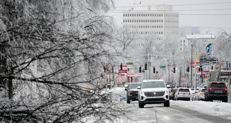 &Alpha;&rho;&kappa;&tau;&iota;&kappa;ό &psi;ύ&chi;&omicron;&sigmaf; &sigma;&alpha;&rho;ώ&nu;&epsilon;&iota; &tau;&iota;&sigmaf; &Eta;&Pi;&Alpha;: &Iota;&sigma;&tau;&omicron;&rho;&iota;&kappa;ή &chi;&iota;&omicron;&nu;&omicron;&kappa;&alpha;&tau;&alpha;&iota;&gamma;ί&delta;&alpha; &mu;&epsilon; 7 &nu;&epsilon;&kappa;&rho;&omicron;ύ&sigmaf;, &alpha;&kappa;&upsilon;&rho;ώ&sigma;&epsilon;&iota;&sigmaf; &pi;&tau;ή&sigma;&epsilon;&omega;&nu; &kappa;&alpha;&iota; 1 &epsilon;&kappa;&alpha;&tau;. &sigma;&pi;ί&tau;&iota;&alpha; &chi;&omega;&rho;ί&sigmaf; &rho;&epsilon;ύ&mu;&alpha;
