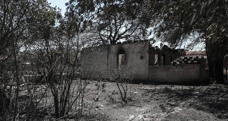 &Phi;&omega;&tau;&iota;ά &sigma;&tau;&eta;&nu; &Pi;&epsilon;&nu;&tau;έ&lambda;&eta;: &Sigma;&tau;&alpha; 126 &tau;&alpha; &kappa;&alpha;&mu;έ&nu;&alpha; &sigma;&pi;ί&tau;&iota;&alpha;