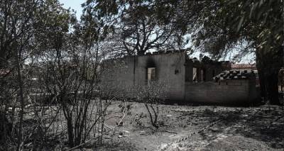 &Phi;&omega;&tau;&iota;ά &sigma;&tau;&eta;&nu; &Pi;&epsilon;&nu;&tau;έ&lambda;&eta;: &Sigma;&tau;&alpha; 126 &tau;&alpha; &kappa;&alpha;&mu;έ&nu;&alpha; &sigma;&pi;ί&tau;&iota;&alpha;