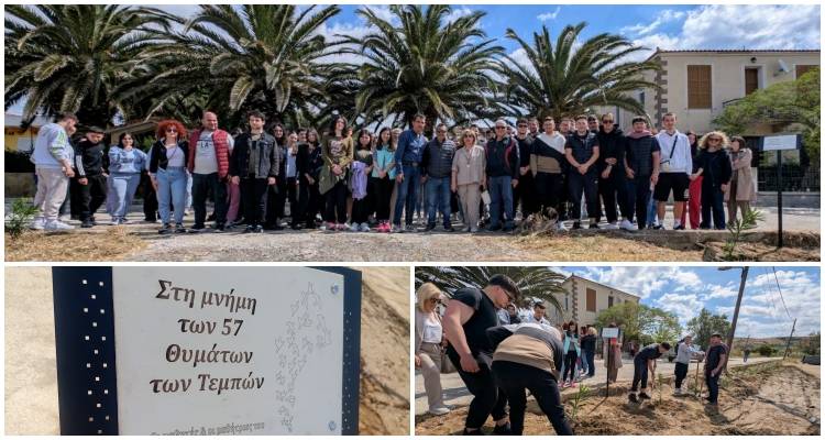Λήμνος: 57 πικροδάφνες για τις 57 σιωπές | Συγκινητική μαθητική δράση στο Μούδρο για τα θύματα των Τεμπών