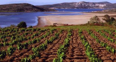 &Alpha;.&Sigma;. &laquo;&Eta; &Epsilon;&Nu;&Omega;&Sigma;&Eta;&raquo;: &Xi;&epsilon;&kappa;ί&nu;&eta;&sigma;&epsilon; &eta; &delta;&iota;&alpha;&delta;&iota;&kappa;&alpha;&sigma;ί&alpha; &upsilon;&pi;&omicron;&beta;&omicron;&lambda;ή&sigmaf; &alpha;&iota;&tau;ή&sigma;&epsilon;&omega;&nu; &gamma;&iota;&alpha; &tau;&eta;&nu; &alpha;&nu;&alpha;&delta;&iota;ά&rho;&theta;&rho;&omega;&sigma;&eta; &alpha;&mu;&pi;έ&lambda;&omega;&nu; 2024