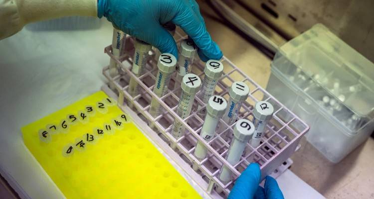 &Mu;&epsilon;&tau;ά&lambda;&lambda;&alpha;&xi;&eta; Ό&mu;&iota;&kappa;&rho;&omicron;&nu;: &Eta; &pi;&alpha;&rho;&alpha;&lambda;&lambda;&alpha;&gamma;ή &laquo;Stealth&raquo; &pi;&omicron;&upsilon; &xi;&epsilon;&gamma;&epsilon;&lambda;ά &kappa;&alpha;&iota; &tau;&alpha; PCR &tau;&epsilon;&sigma;&tau;