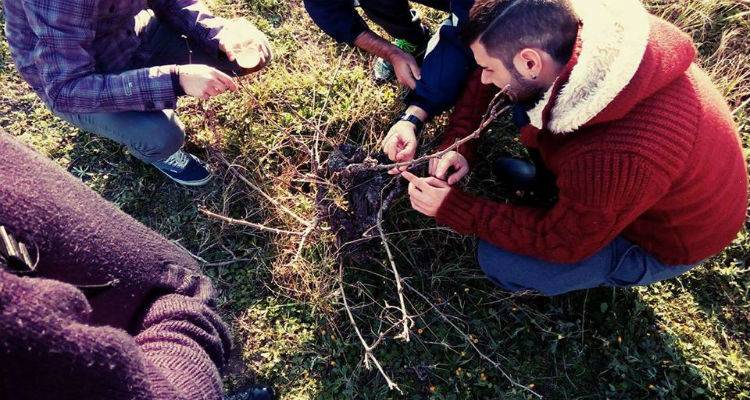Στα αμπέλια της Λήμνου οι σπουδαστές του ΙΕΚ (photos)