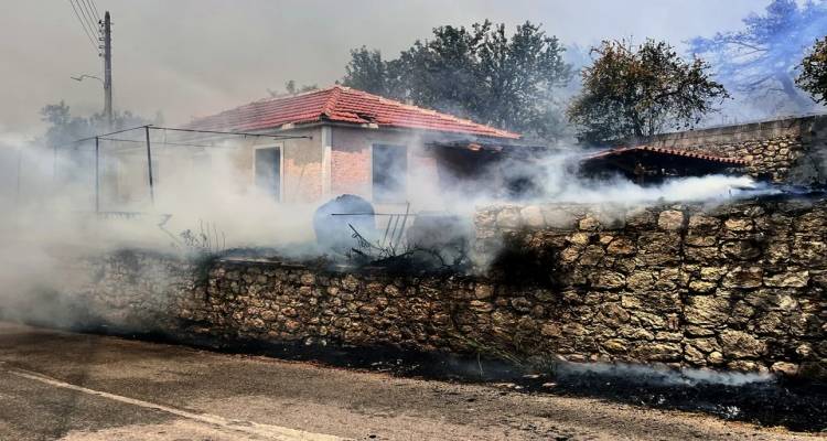 Μαίνονται οι μεγάλες φωτιές σε Αχαΐα και Ζάκυνθο, εκκενώθηκαν οικισμοί | Πύρινα μέτωπα και σε Χίο, Πρέβεζα, Βόνιτσα
