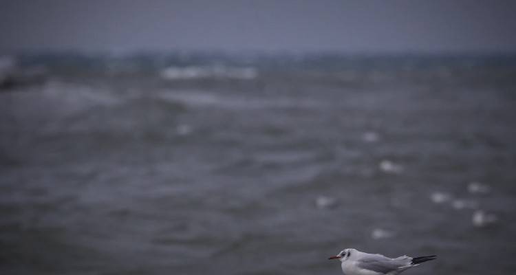 &Kappa;&alpha;&iota;&rho;ό&sigmaf;: &Nu;έ&alpha; &epsilon;&pi;&iota;&delta;&epsilon;ί&nu;&omega;&sigma;&eta; &tau;&eta;&nu; &Tau;&rho;ί&tau;&eta; | &Alpha;&epsilon;&rho;&omicron;&chi;&epsilon;ί&mu;&alpha;&rho;&rho;&omicron;&sigmaf; &phi;έ&rho;&nu;&epsilon;&iota; &laquo;&kappa;&alpha;&kappa;&omicron;&kappa;&alpha;&iota;&rho;ί&alpha; &epsilon;&xi;&pi;&rho;έ&sigmaf;&raquo;