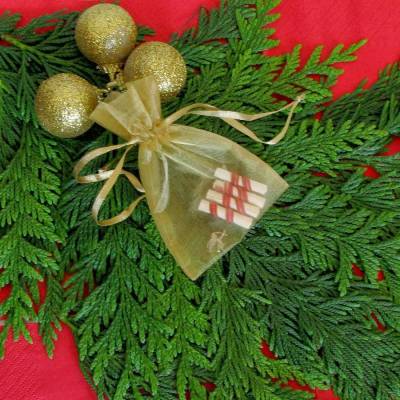 &laquo;Ό,&tau;&iota; &theta;έ&lambda;&omega; &gamma;&iota;&alpha; &tau;&alpha; &Chi;&rho;&iota;&sigma;&tau;&omicron;ύ&gamma;&epsilon;&nu;&nu;&alpha;&raquo; &epsilon;&kappa;&delta;ή&lambda;&omega;&sigma;&eta; &alpha;&pi;ό &tau;&omicron; &Lambda;ύ&kappa;&epsilon;&iota;&omicron; &Epsilon;&lambda;&lambda;&eta;&nu;ί&delta;&omega;&nu; &Lambda;ή&mu;&nu;&omicron;&upsilon;