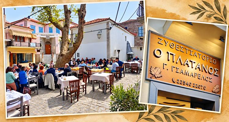 &Mu;&epsilon;&tau;ά &tau;&eta;&nu; &pi;&alpha;&rho;έ&lambda;&alpha;&sigma;&eta;, &rho;&alpha;&nu;&tau;&epsilon;&beta;&omicron;ύ &sigma;&tau;&omicron;&nu; &laquo;&Pi;&lambda;ά&tau;&alpha;&nu;&omicron;&raquo;! | &Eta; &gamma;&iota;&omicron;&rho;&tau;ή &sigma;&upsilon;&nu;&epsilon;&chi;ί&zeta;&epsilon;&tau;&alpha;&iota; &sigma;&tau;&omicron; &tau;&rho;&alpha;&pi;έ&zeta;&iota;