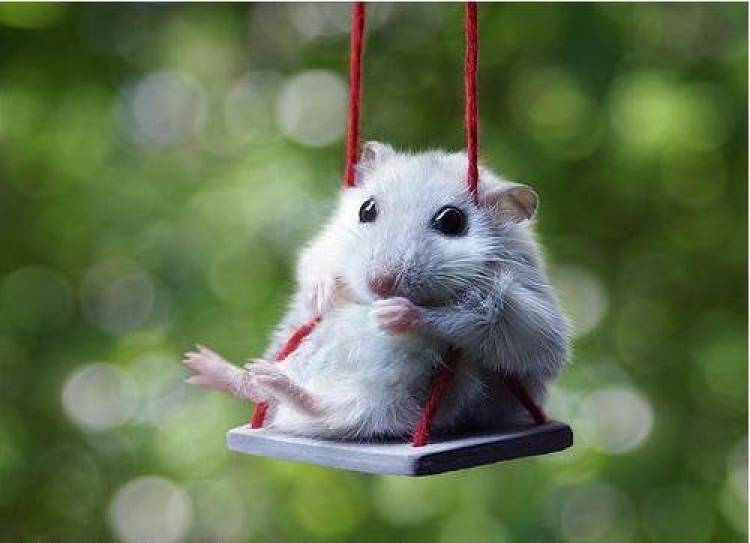 &Epsilon;&gamma;ώ, &tau;&omicron; &chi;ά&mu;&sigma;&tau;&epsilon;&rho; &kappa;&iota; &omicron; &Sigma;&alpha;&beta;&beta;ό&pi;&omicron;&upsilon;&lambda;&omicron;&sigmaf;