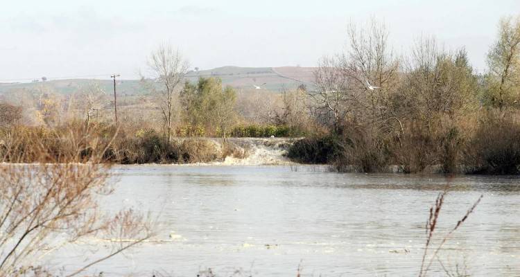 &Epsilon;&pi;&epsilon;&iota;&sigma;ό&delta;&iota;&omicron; &mu;&epsilon; &pi;&upsilon;&rho;&omicron;&beta;&omicron;&lambda;&iota;&sigma;&mu;&omicron;ύ&sigmaf; &sigma;&tau;&omicron;&nu; Έ&beta;&rho;&omicron;: &Gamma;&upsilon;&nu;&alpha;ί&kappa;&alpha; &epsilon;&nu;&tau;&omicron;&pi;ί&sigma;&tau;&eta;&kappa;&epsilon; &nu;&epsilon;&kappa;&rho;ή &sigma;&tau;&omicron;&nu; &pi;&omicron;&tau;&alpha;&mu;ό, &omicron;&iota; &pi;&rho;ώ&tau;&epsilon;&sigmaf; &epsilon;&kappa;&tau;&iota;&mu;ή&sigma;&epsilon;&iota;&sigmaf;